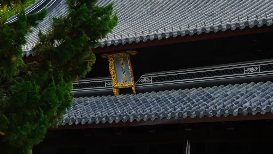 【探索】正式开放！上海地区现存规模最大的古建筑群修缮归来→