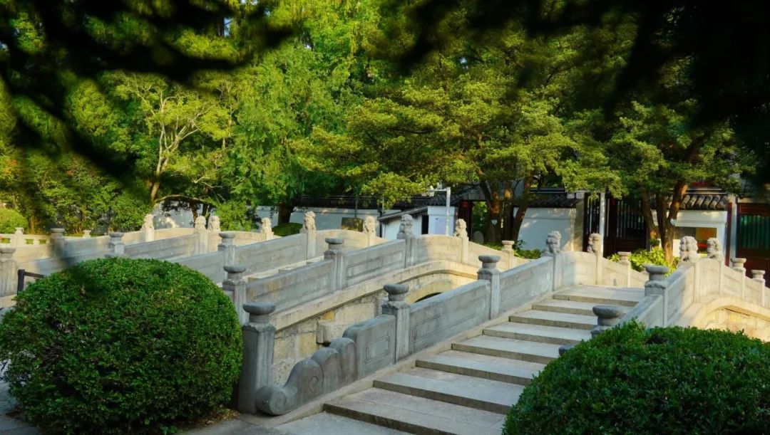 【探索】正式开放！上海地区现存规模最大的古建筑群修缮归来→