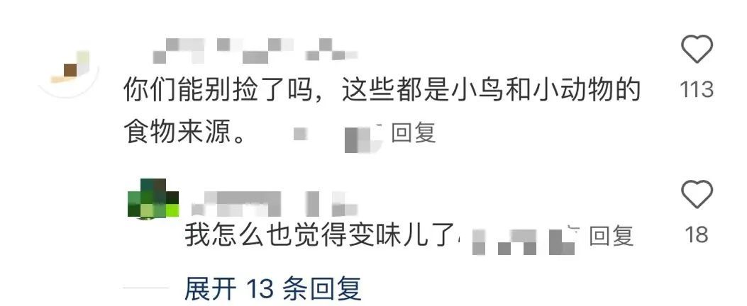 你去“捡秋”了吗？专属i人的精神疗愈法
