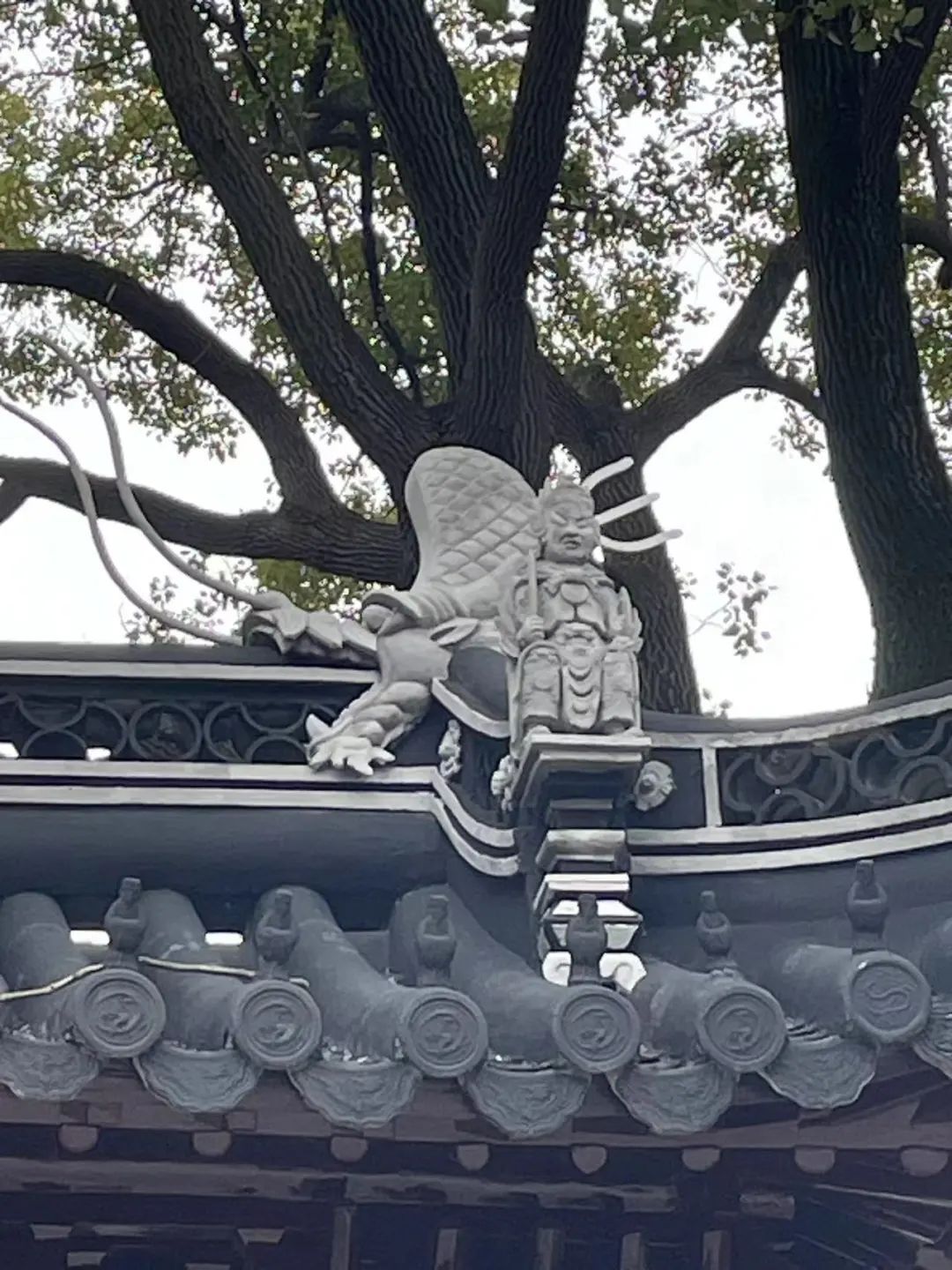 【探索】正式开放！上海地区现存规模最大的古建筑群修缮归来→