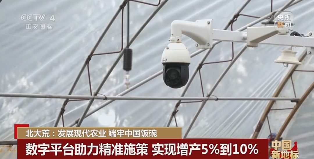 北大荒：发展现代农业 端牢中国饭碗