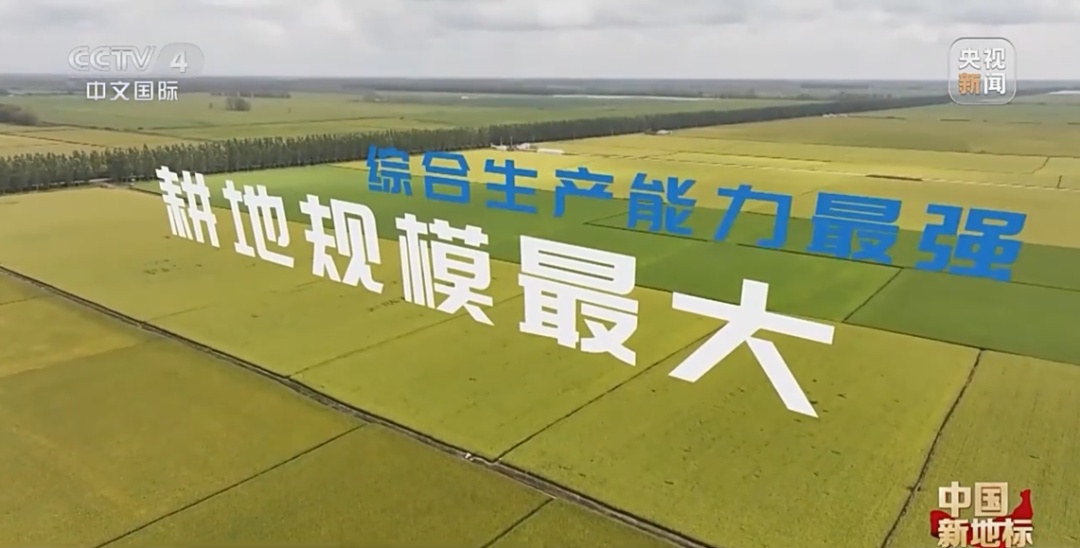 北大荒：发展现代农业 端牢中国饭碗