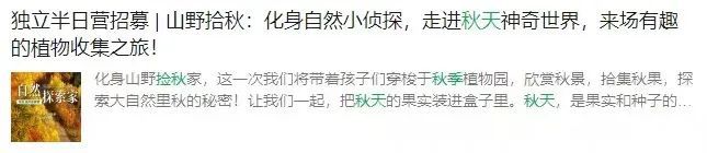 你去“捡秋”了吗？专属i人的精神疗愈法