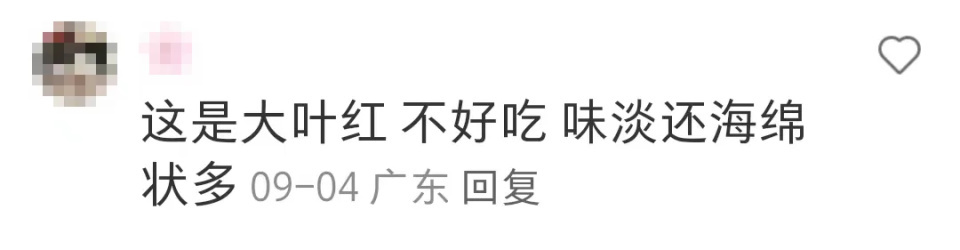 广东水果多到落满地都没人捡？广东人：不要是有原因的！