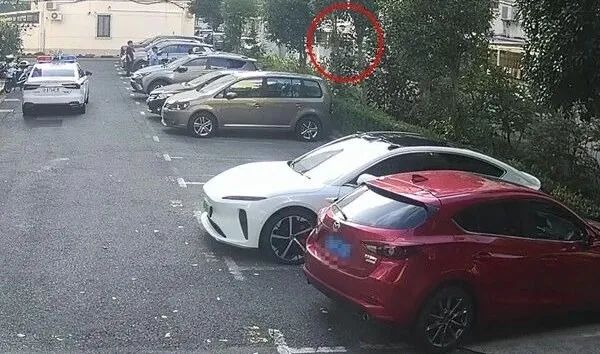 “小孩哥”尝试“飞檐走壁” 民警化身“蜘蛛侠” “小孩哥”尝试“飞檐走壁” 民警化身“蜘蛛侠”