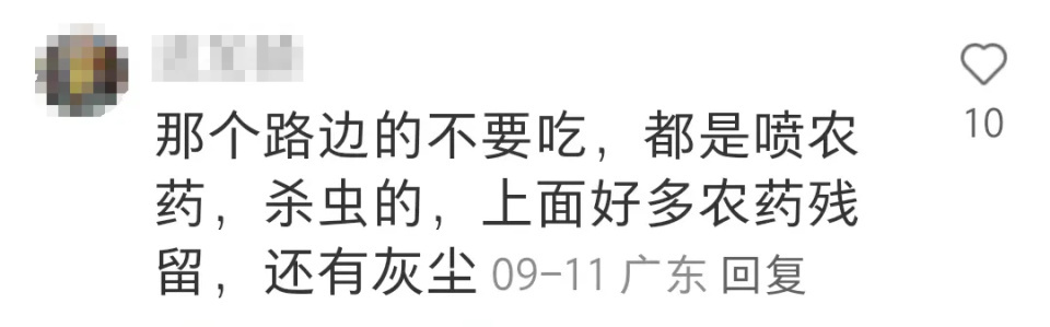 广东水果多到落满地都没人捡？广东人：不要是有原因的！