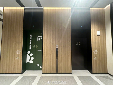 上海一商场设宠物专用直梯：无强制性，加强引导