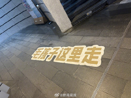 上海一商场设宠物专用直梯：无强制性，加强引导