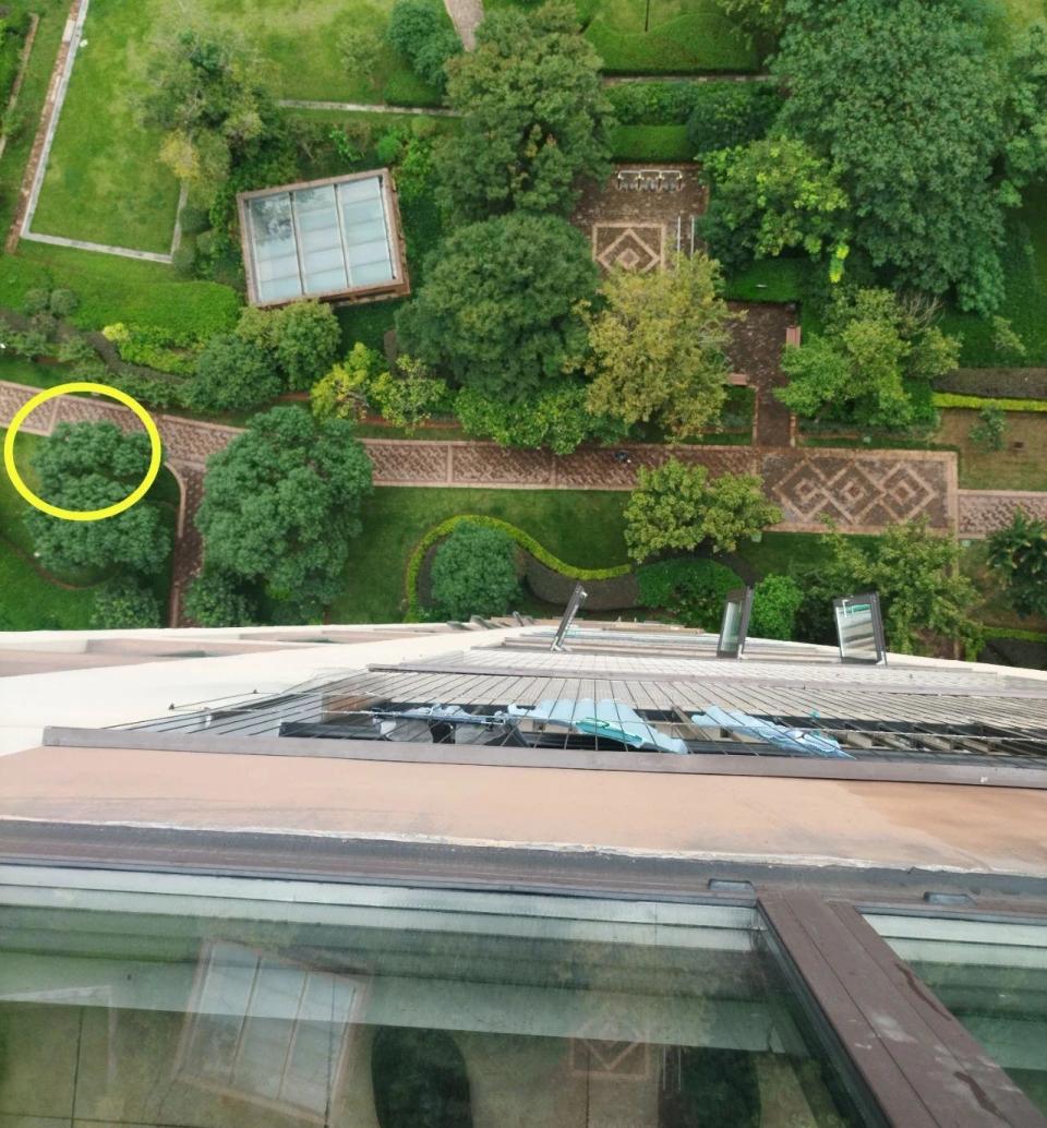 刑拘！赣州女子从18层扔下没喝完的奶茶，致过路行人脑震荡和颈部挫伤