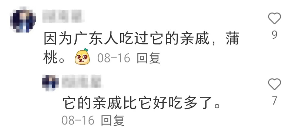 广东水果多到落满地都没人捡？广东人：不要是有原因的！