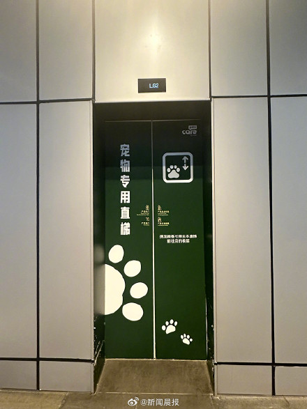 上海一商场设宠物专用直梯：无强制性，加强引导