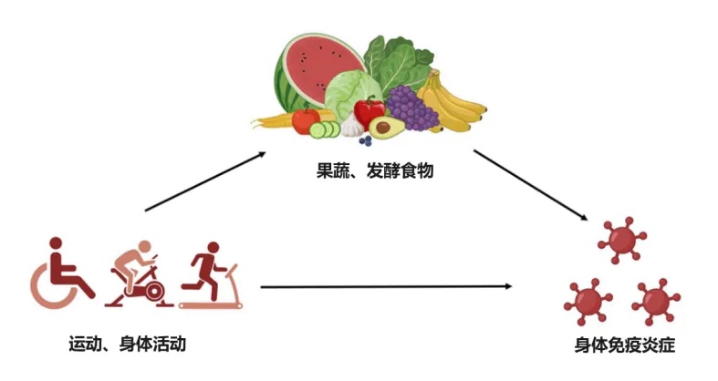 从炎症到癌症只有两三步！给身体“抗炎”，做好这3点！