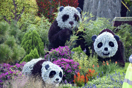 细节满满!首次亮相天安门广场的蔬果花篮 细节满满!首次亮相天安门广场的蔬果花篮