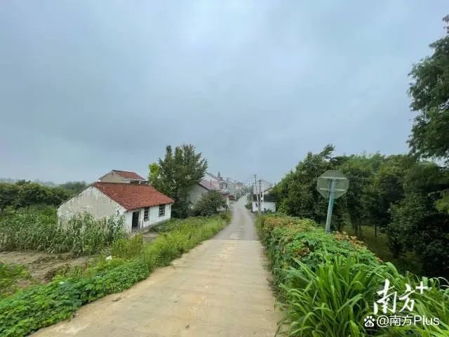 25岁女子遇害!其系独女,入职村委1年多,凶手曾为低保户 25岁女子遇害!其系独女,入职村委1年多,凶手曾为低保户