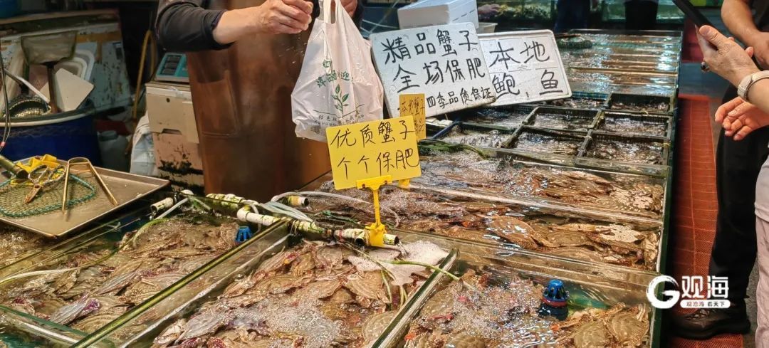 价格“腰斩”，眼下正大量上市！青岛人狂喜：根本吃不够……