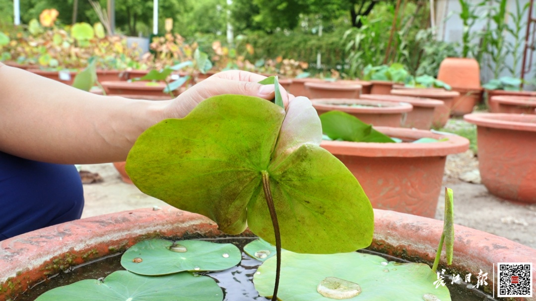 武汉惊现!基因发生变异 武汉惊现!基因发生变异