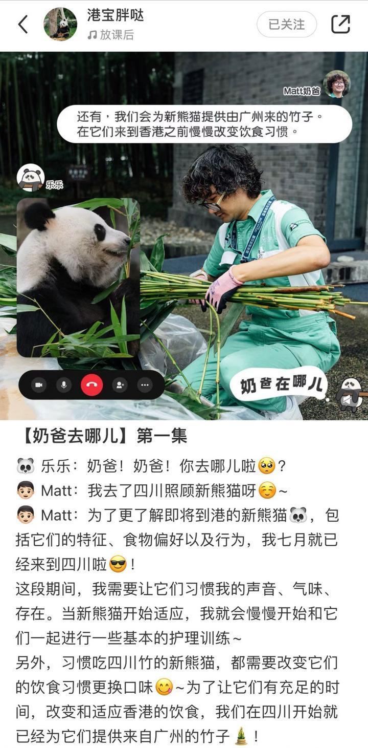 5个关键词揭秘大熊猫赴港全流程