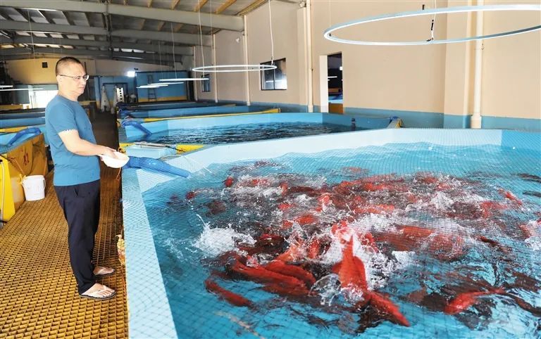 “摩羯”过后,复工复产情况如何?海口、文昌跑出“加速度” “摩羯”过后,复工复产情况如何?海口、文昌跑出“加速度”