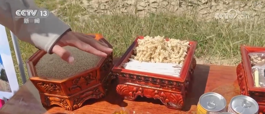 从高原农田到全球餐桌 小藜麦“花”式上新串起大产业