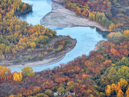 浪漫！金秋的额尔古纳