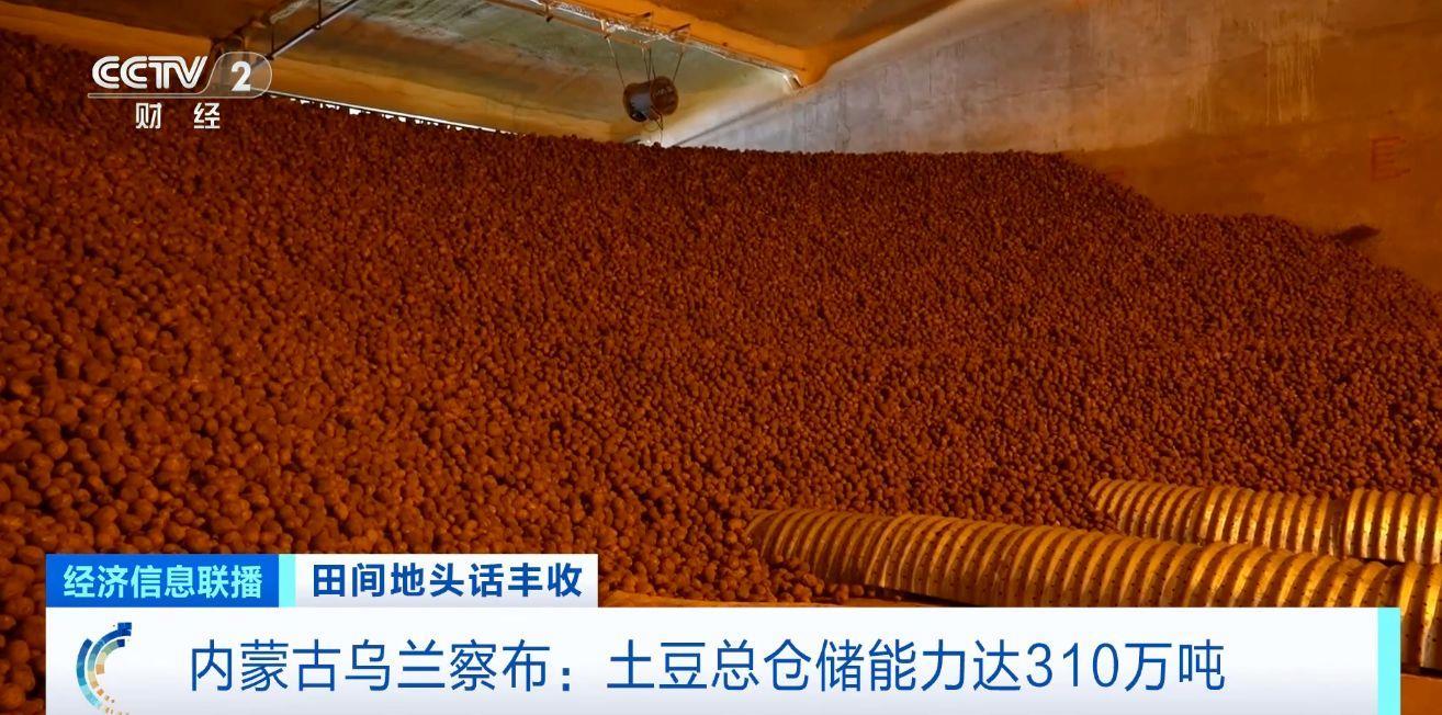 航空育种土豆即将收获 探访最新生长情况 航空育种土豆即将收获 探访最新生长情况