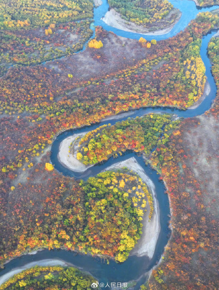 浪漫！金秋的额尔古纳