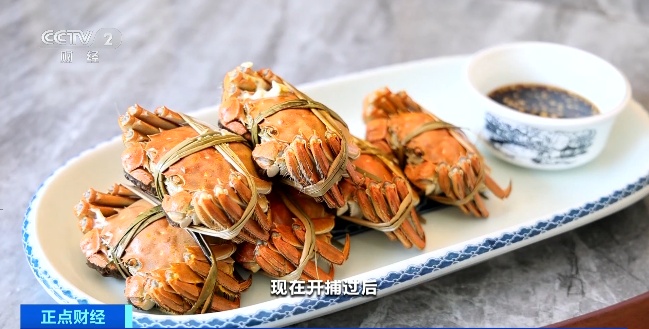 9900吨！你爱吃的它正式开捕，想尝“鲜”吗？