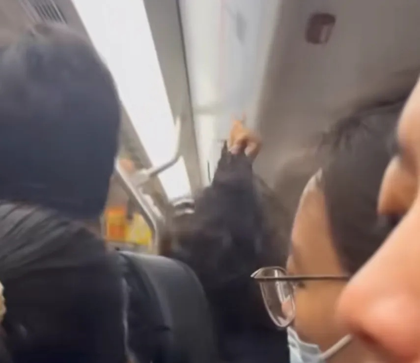 两女子在上海地铁上互殴?警方深夜通报:行政处罚! 两女子在上海地铁上互殴?警方深夜通报:行政处罚!