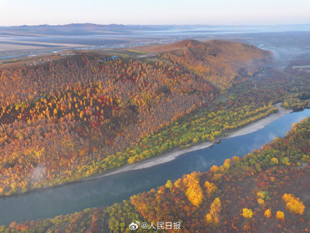 浪漫！金秋的额尔古纳
