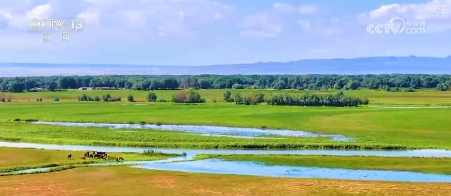线路多样、内容丰富、方式灵活 各地文旅市场迎来新一轮热潮