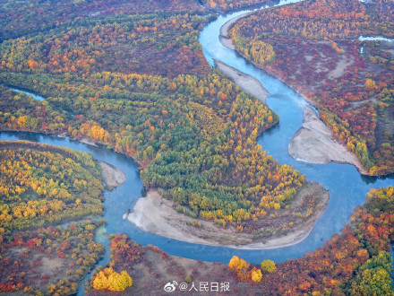 浪漫！金秋的额尔古纳