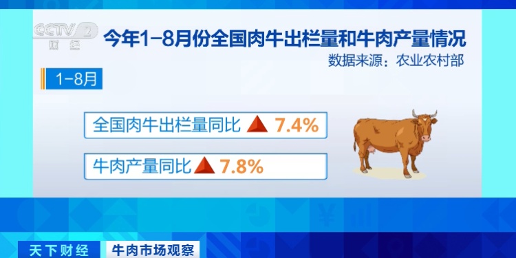 全国牛肉价格降至5年来最低！连跌11个月！农业农村部回应