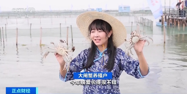 9900吨！你爱吃的它正式开捕，想尝“鲜”吗？