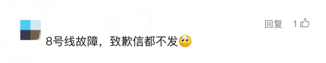 上海地铁8号线今天“站台上人多到爆炸”！网友：挤上去又被推下来……官方回应→