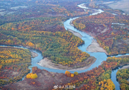 浪漫！金秋的额尔古纳