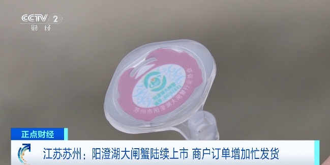 9900吨！你爱吃的它正式开捕，想尝“鲜”吗？