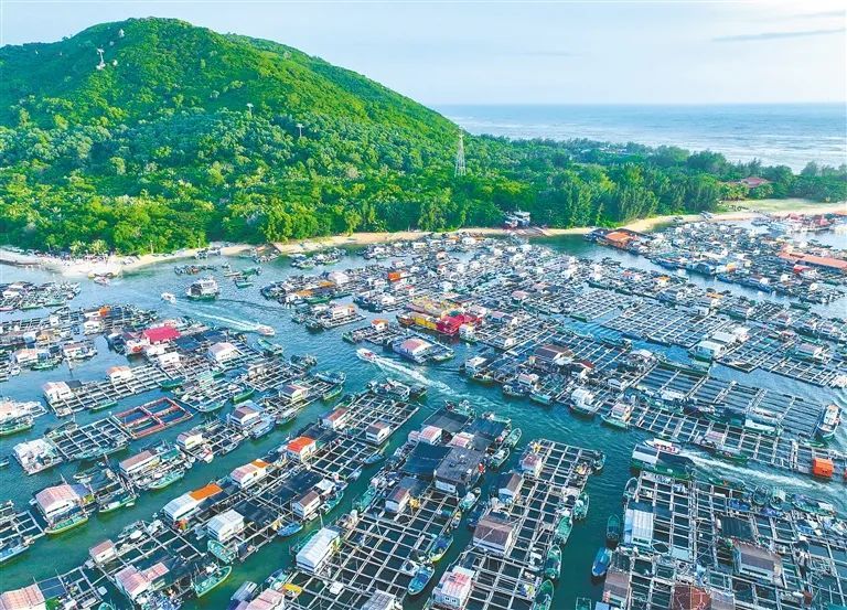 海南这个“海上村庄”,是如何演变成“网红打卡地”的? 海南这个“海上村庄”,是如何演变成“网红打卡地”的?