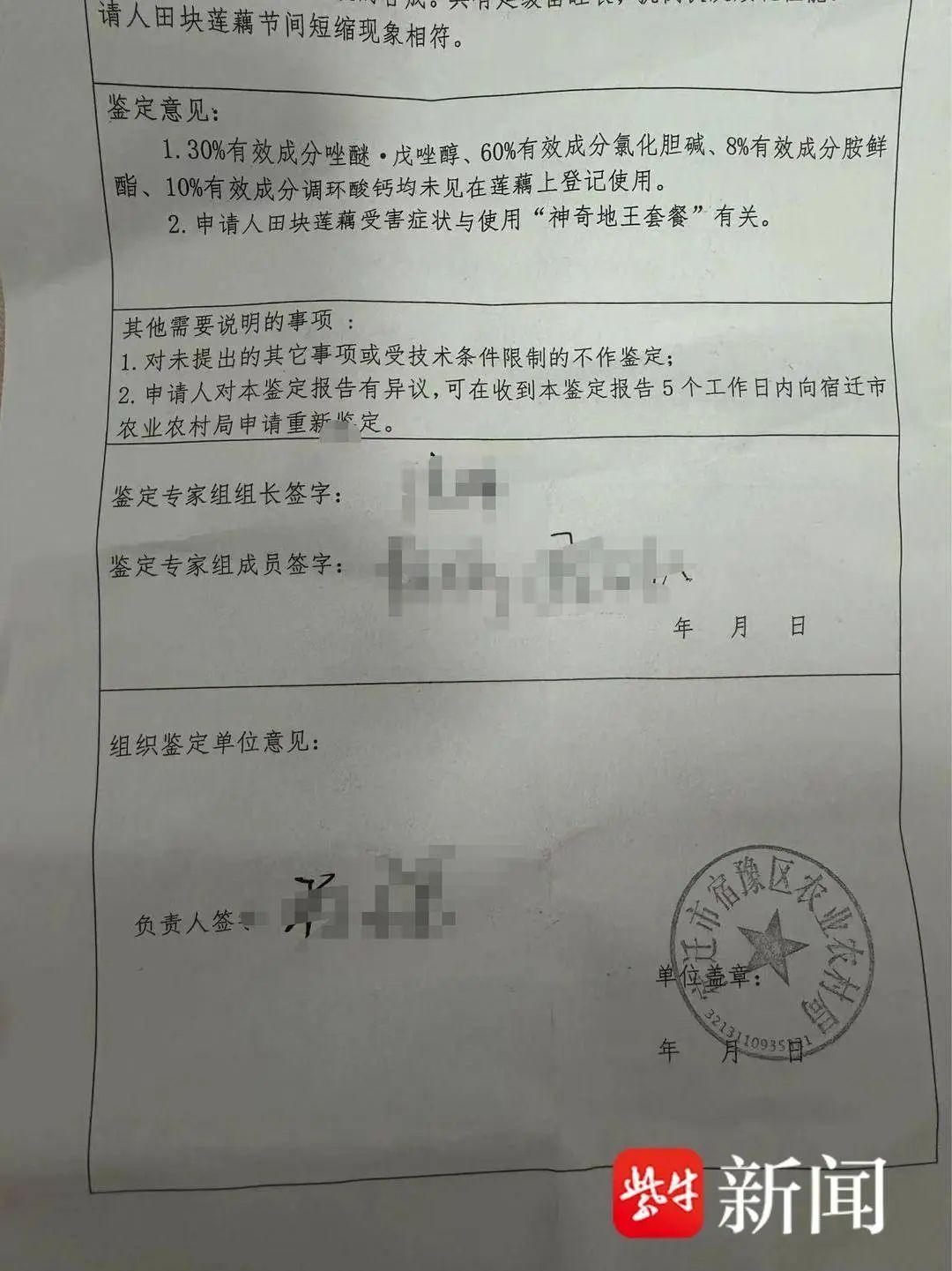 喷错农药!300亩莲藕缩成“糖葫芦” 喷错农药!300亩莲藕缩成“糖葫芦”