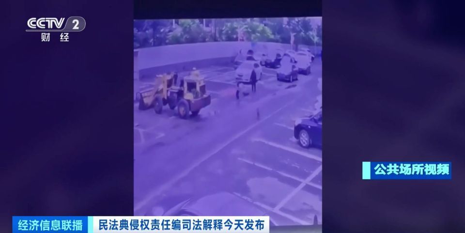 禁养烈性犬伤人由谁担责？司法解释：犬主承担全部责任
