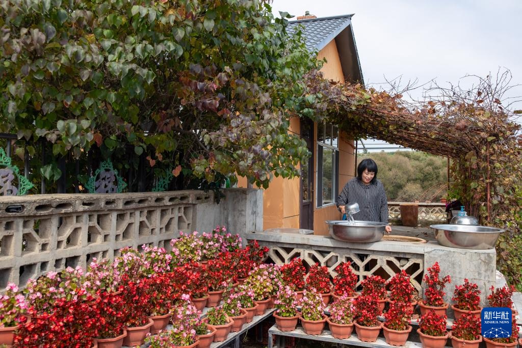 文化中国行&middot;传统村落人文影像志｜黑龙江上官地村——一个建在火山岩上的“稻田村”