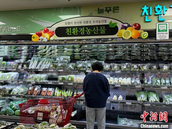 白菜变“金菜”  韩国紧急从中国进口求解困