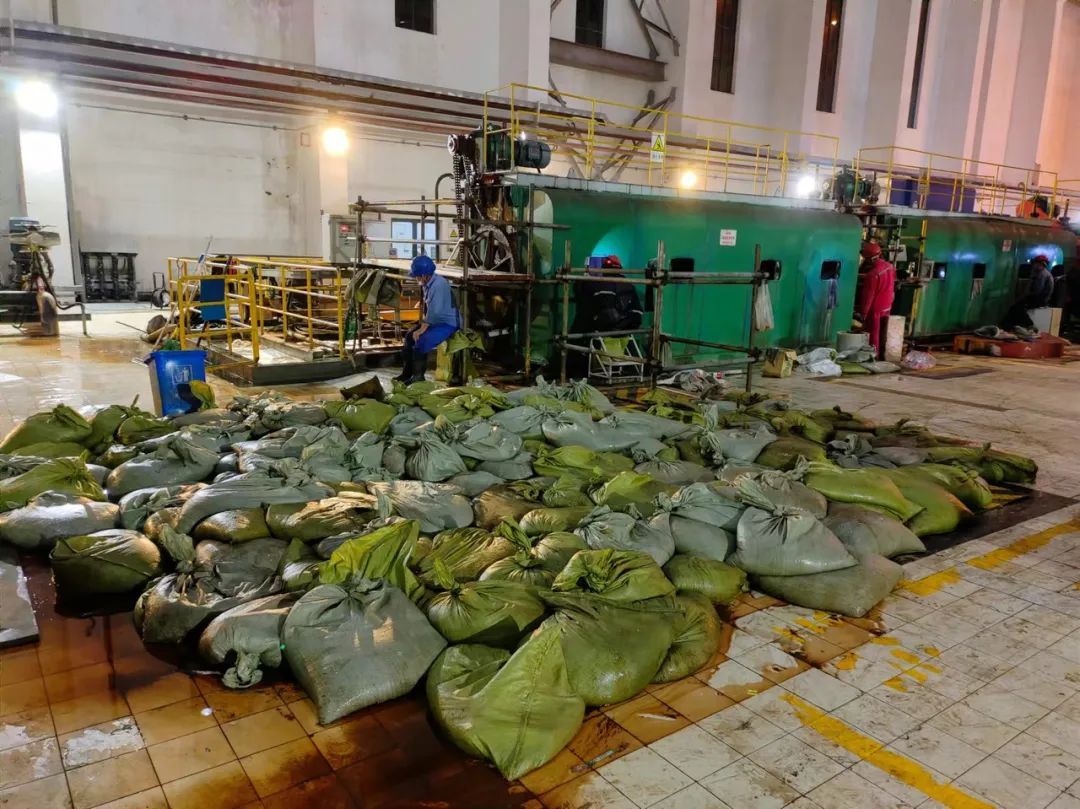 抓不完！一发电厂遭"海蜇危机" 已抓21万斤