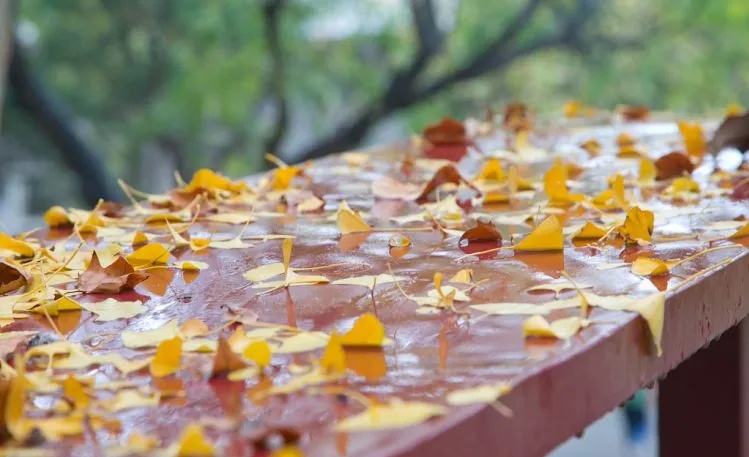 局部暴雨、雨夹雪!强冷空气即将抵达河南 局部暴雨、雨夹雪!强冷空气即将抵达河南