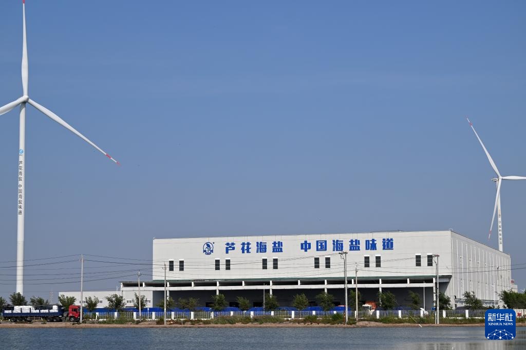 国道之行 海阔天空丨从一滴海水到“百味之王”——海盐收获记