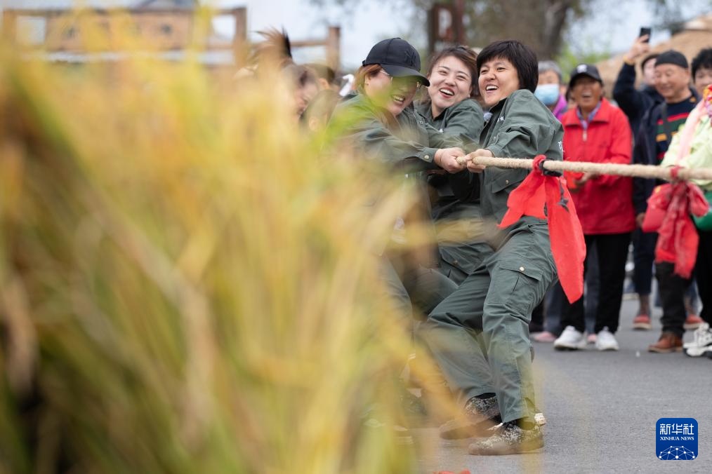 文化中国行&middot;传统村落人文影像志｜黑龙江上官地村——一个建在火山岩上的“稻田村”