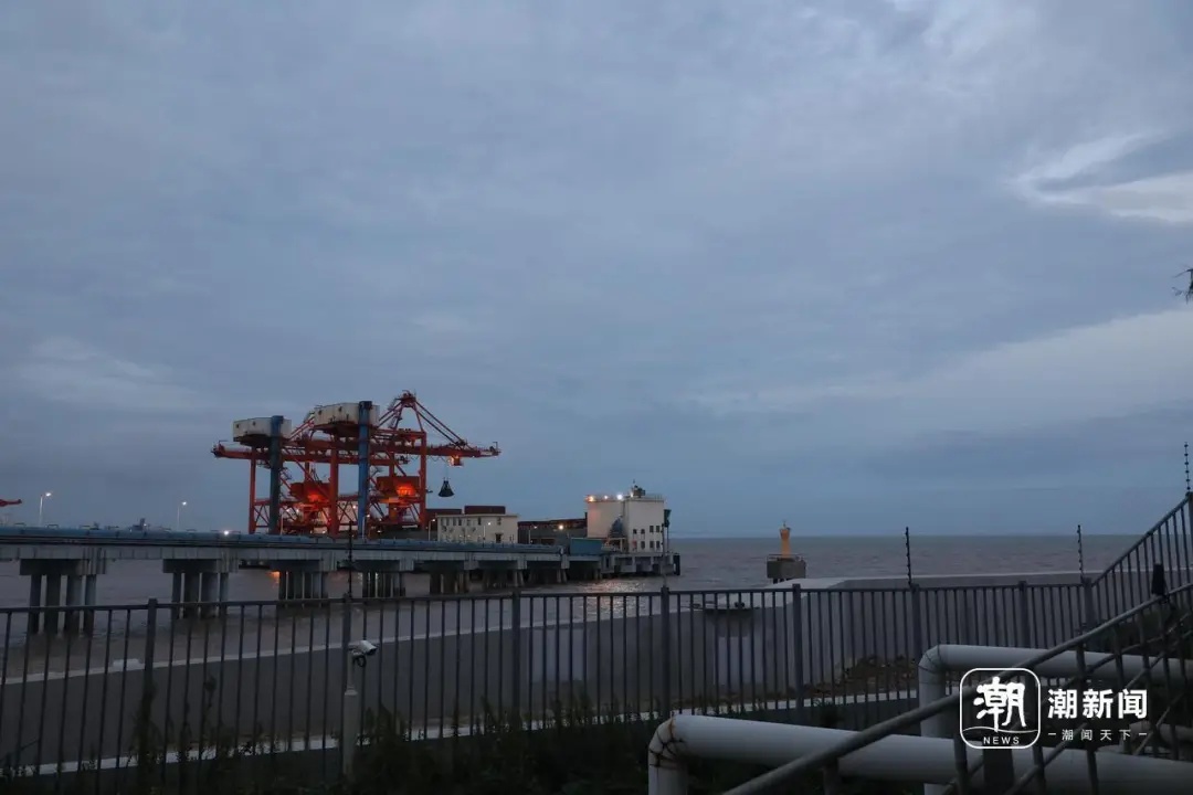 8天抓了126吨!浙江一发电厂遭遇“海蜇危机”,网友支招→ 8天抓了126吨!浙江一发电厂遭遇“海蜇危机”,网友支招→