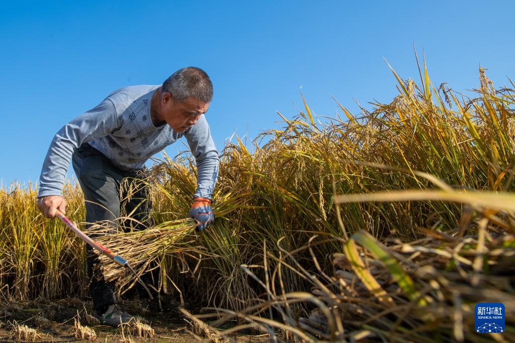 文化中国行&middot;传统村落人文影像志｜黑龙江上官地村——一个建在火山岩上的“稻田村”