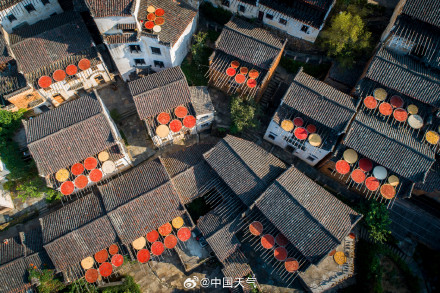 金九银十！2024全国赏秋地图出炉 十大推荐地带你体验绝美秋色