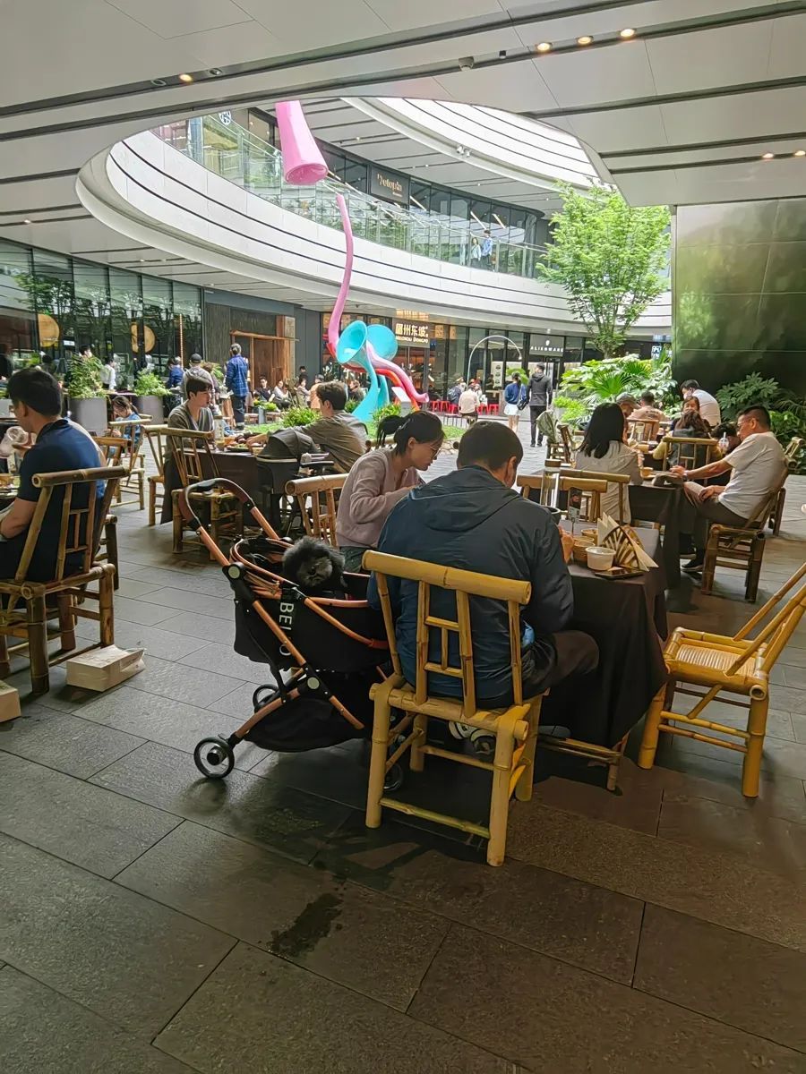 上海商场出现了“毛孩子”专用电梯,有人点赞,有人却说…… 上海商场出现了“毛孩子”专用电梯,有人点赞,有人却说……