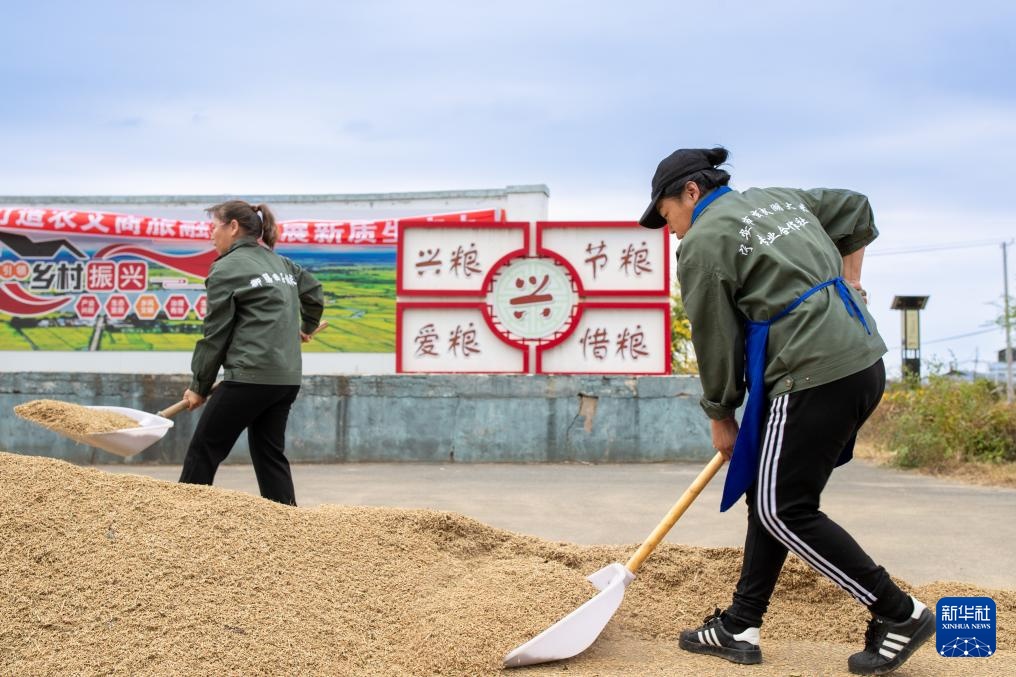 文化中国行&middot;传统村落人文影像志｜黑龙江上官地村——一个建在火山岩上的“稻田村”